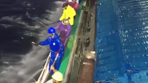 The wonderful way of fishing by the fishermen