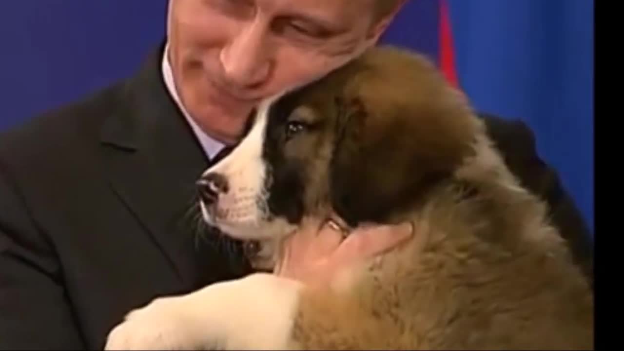 putin holding the dog