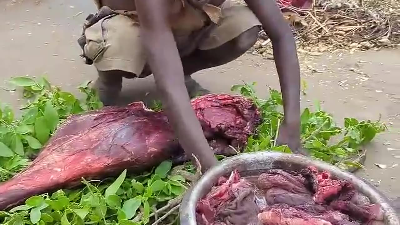 It's Cooking time hadzabe Hunt's tribe prepare their food #bushmen #traditional #culture