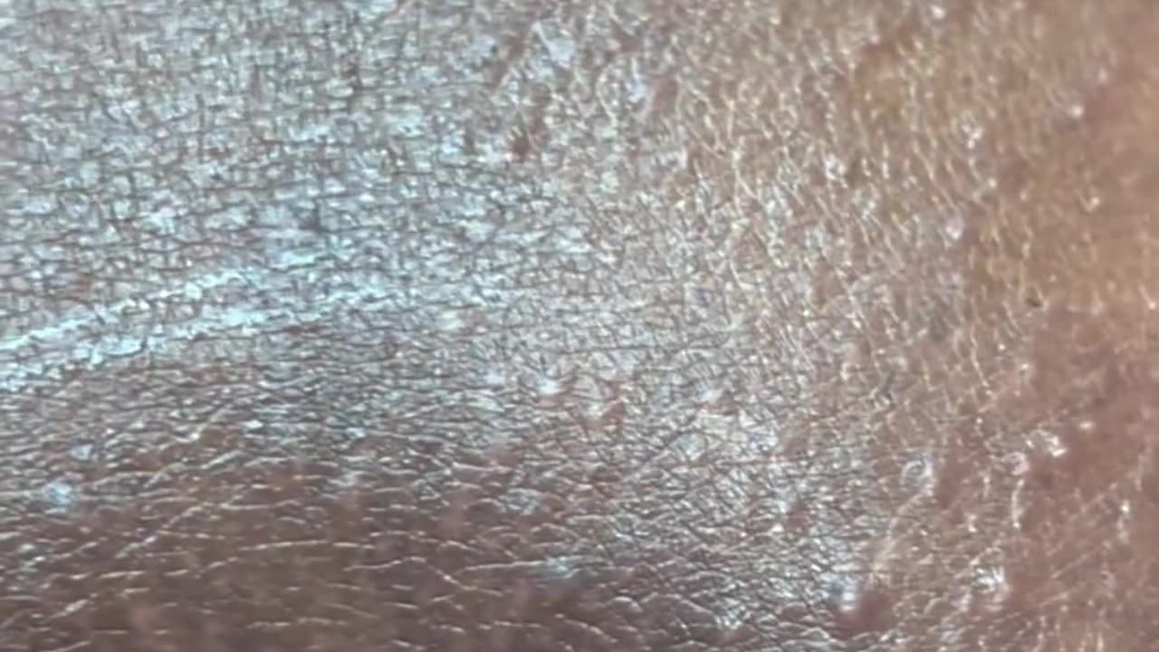 Experience a Bikini Wax Review by @thewaxpalaceee with Sexy Smooth Tickled Pink Hard Wax!