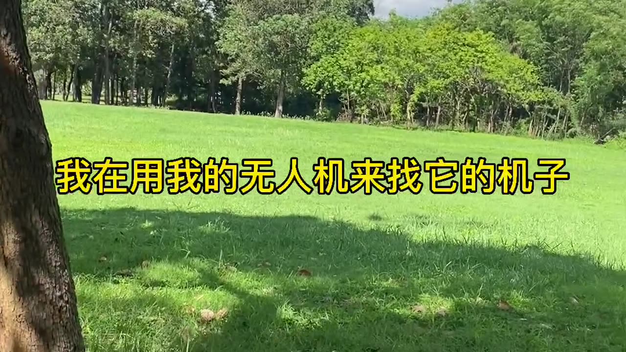 FPV Chicken🇨🇳