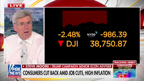 Steve Moore Says American Public Are 'Worried' About Harris Agenda Amid Market Downward Spiral