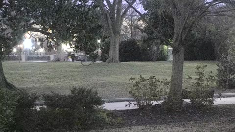 0679USCG00SEDriveExit_2021-01-06_06h58min38s907ms.mp4