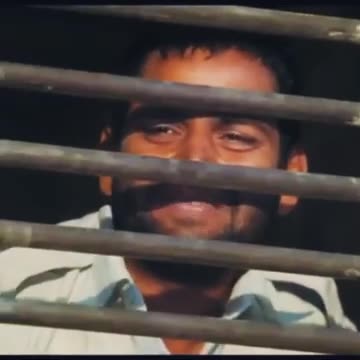 Funny animal videos|Cute animal videos |Funny dog&cat videos|Hilarious pet videos|funny video