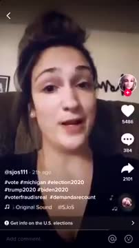 Voter Fraud in Michigan