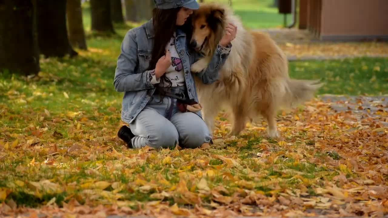 Autumn 2022 🍂 Dog tricks by Thunder the rough collie