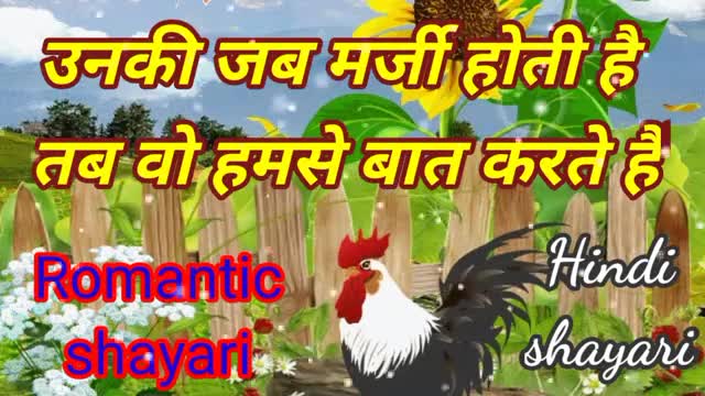 सच कहती हूं ए सनम मैं तुम्हारे बिना रहे नहीं पाऊंगी Romantic shayariHindi shayariVideo status