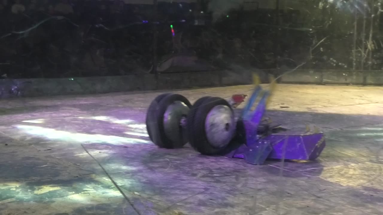 RoboRiots Dublin 2024: Stinger Vs Leviathan