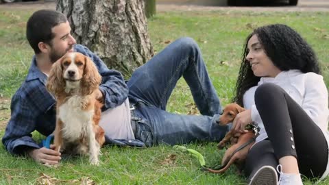 Couple with Baby dog, The dog Jump in water, Animals family dog.