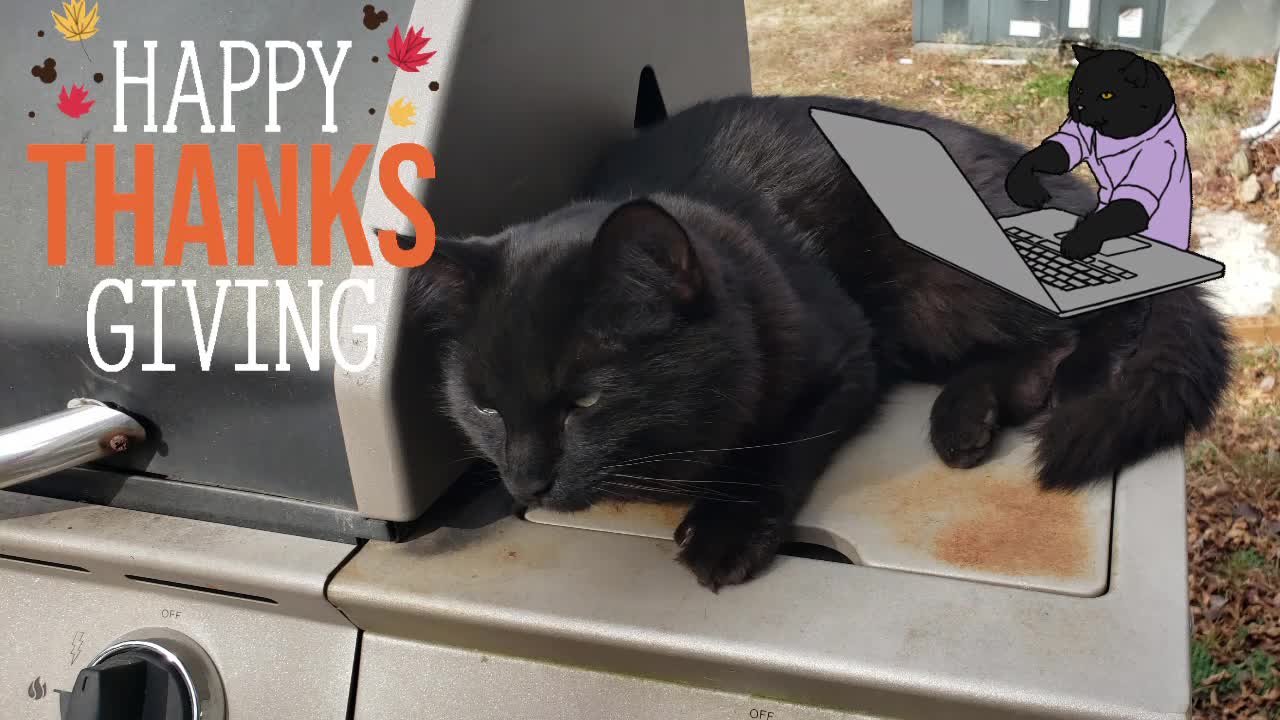 What's for THANKSGIVING DINNER? Grilled Cat?