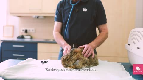 Dierenkliniek de Leyens gaat verder als AniCura Dierenkliniek Zoetermeer