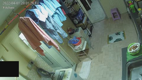 kitchen day n night 20220401