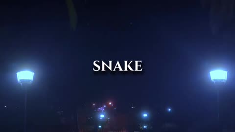 A snake will always shred#quotes #attitudequotes#royalattitude