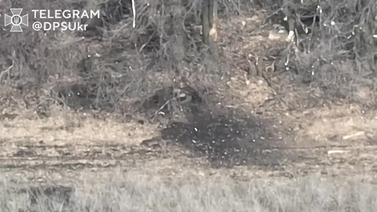 Ever Feel Like Someone is Watching You?