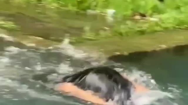 Ada yg tau ini berenang gaya apa