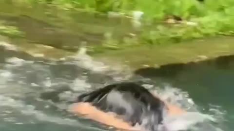 Ada yg tau ini berenang gaya apa