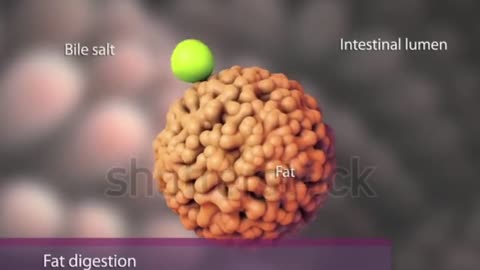 Dr. Zee Drink one cup a day to reduce inflammation from your intestine.