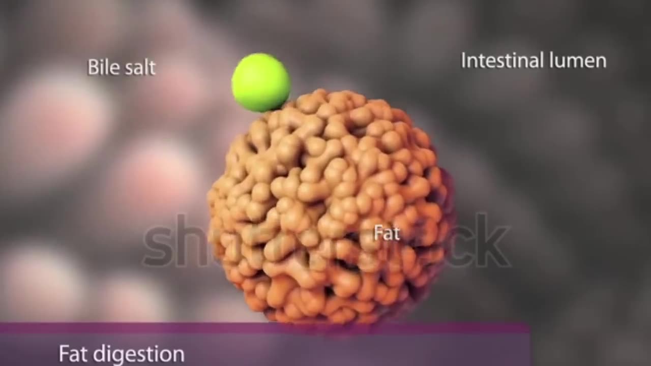 Dr. Zee Drink one cup a day to reduce inflammation from your intestine.