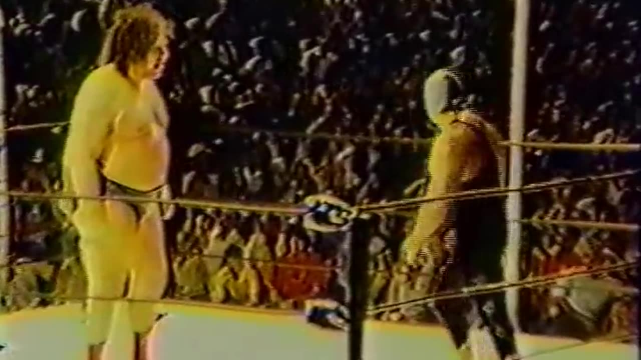 Andre the Giant vs The Masked Superstar