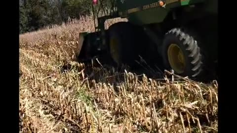 Farming, It is the Guts that it takes to do it