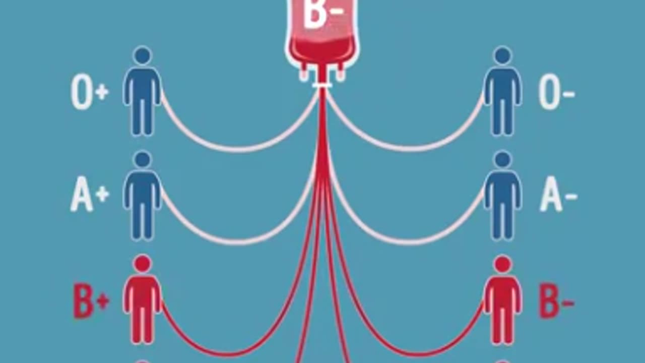 Blood Groups