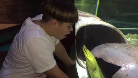 Beluga Whale is AMAZED by Tricks!