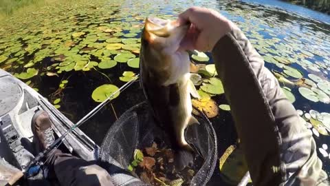 A Relaxing Day Of Frog Bassin'-14