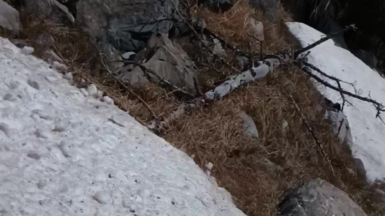 Summertime fun in the Colorado mountains June 2023