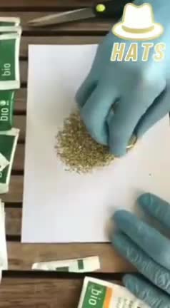 Health - Tea Bag And Metal