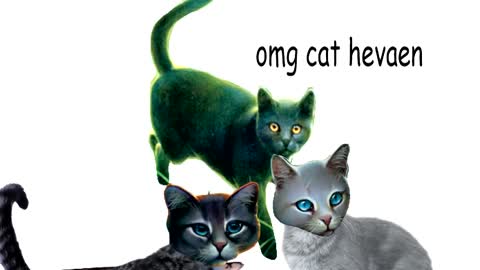 warrior cats lore in a nutshell