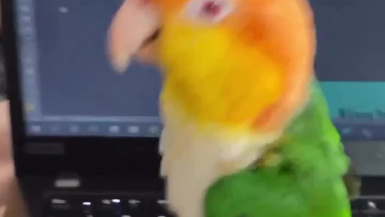 The best office partner