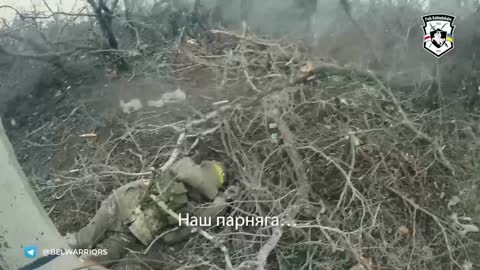 Russian Dead Left in the Treeline