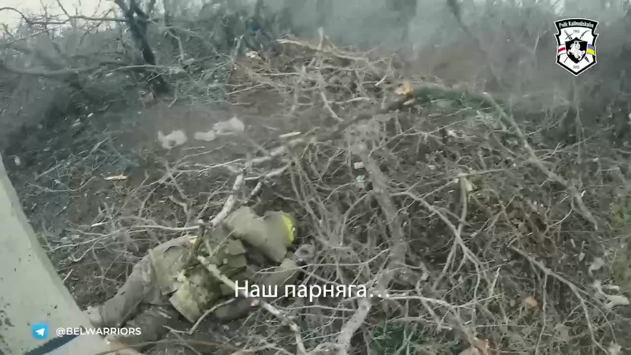 Russian Dead Left in the Treeline