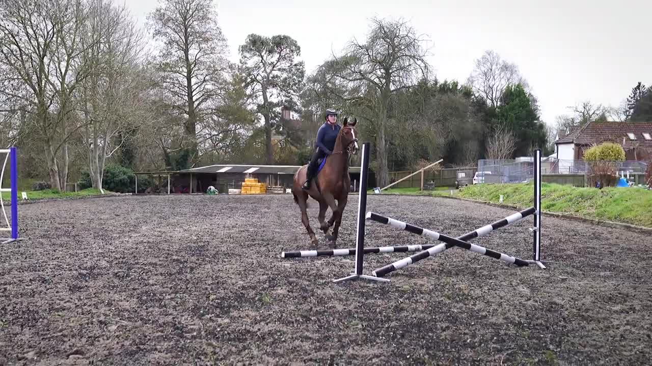 Horse Jumps without Crossing the Barrier