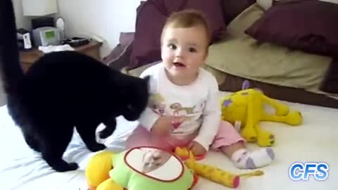 Cats and Baby