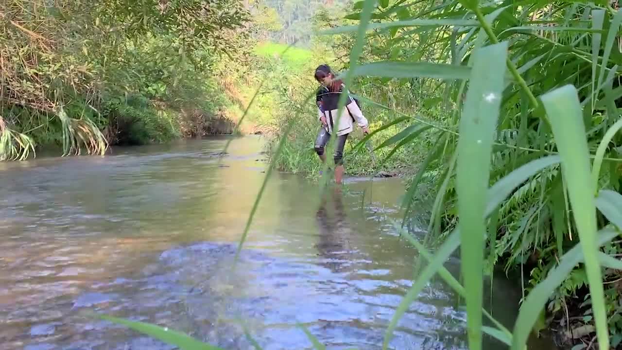 Build a wonderful shelter in the middle of a stream with adorable baby monkeys-4