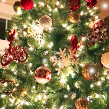 WE'RE MAKING CHRISTMAS GREAT AGAIN!!!🎄🎄🎄