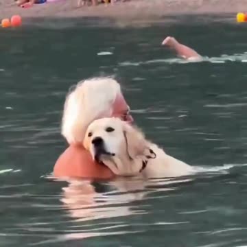 Beach Cuddle Gone Viral