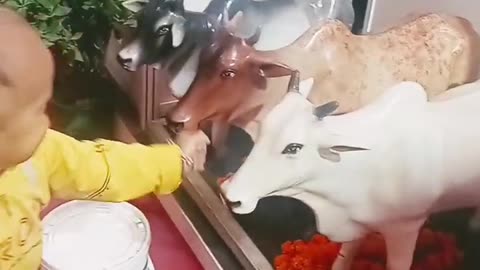 chhoto chhoti gayiyaa chhote chhote gyal