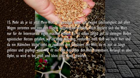 Das Gleichnis vom Sämann & Verantwortung für die ausgestreuten Samen ❤️ Jesus erklärt Lukas 84-15