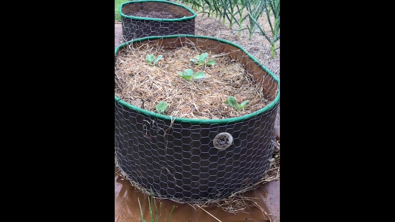 DIY Repurposing an Old Oil Tank