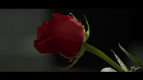 Someone drank wine eyes shining about romance and love.