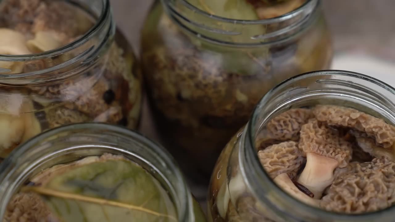 Morel Mushrooms_ Harvesting and Cooking