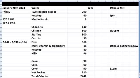 Daily Calorie Count: January 20th