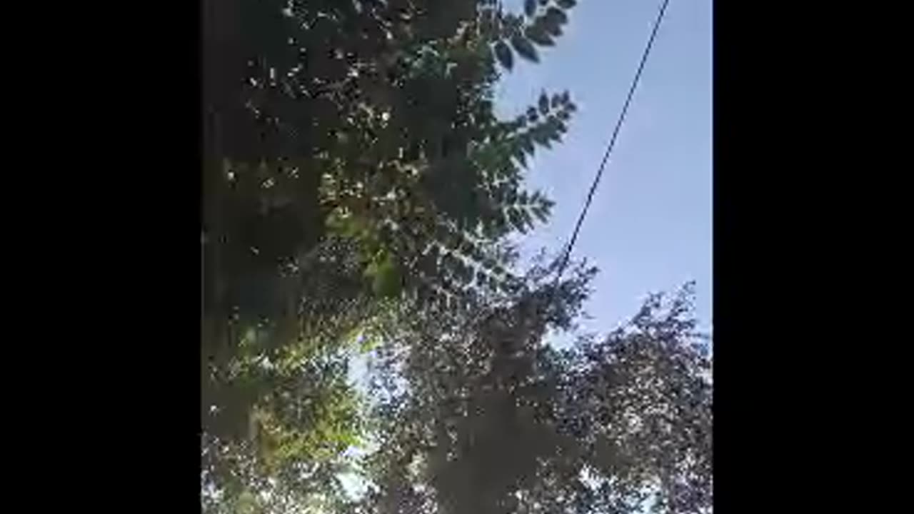 MZ NATURAL ALL 💦🍆👉👑✌️ ft MZ NATURAL