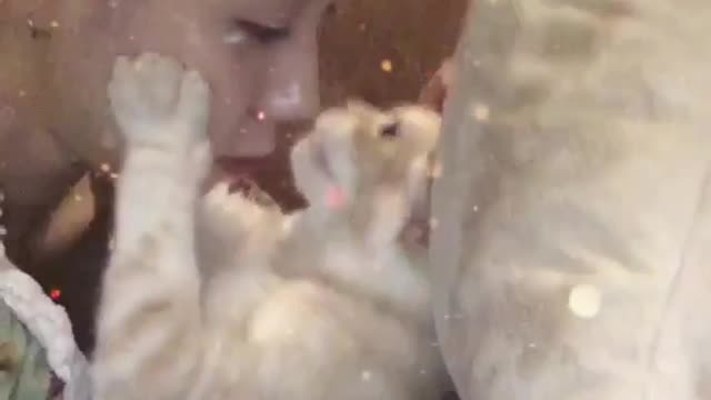 Cats love with girl New funny video 2022 | #tiktokviral #pubgmobile #freefire #funny #anime