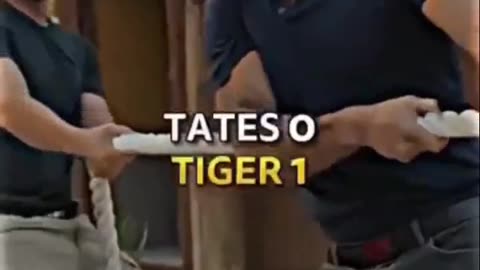 Top G Vs Top Tiger