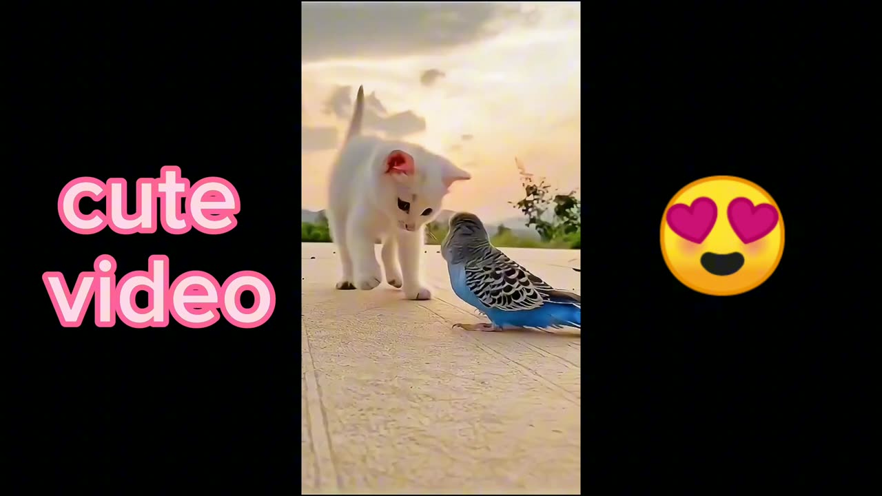 Cat playing with parrot 🦜 animal videos