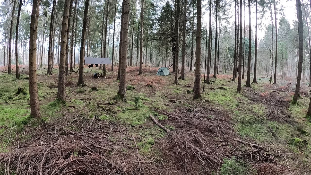 DD HAMMOCKS 3X3 TARP. Snugpak scorpion tent. Woodland wildcamping. 22nd Jan 2023