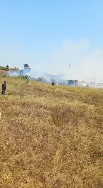 Ya son 101 los incendios de cobertura vegetal atendidos en 2022